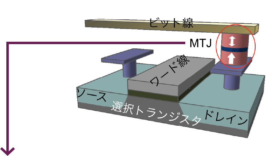 ビット線 MTJ ワード線 ソース ドレイン 選択トランジスタ